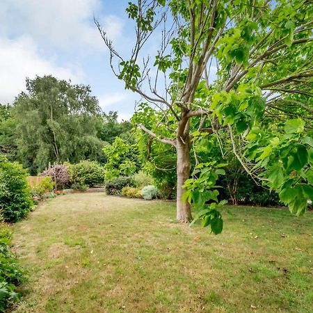 Little Thatch Lovely 2-Bed Near Weymouth Radipole Eksteriør bilde