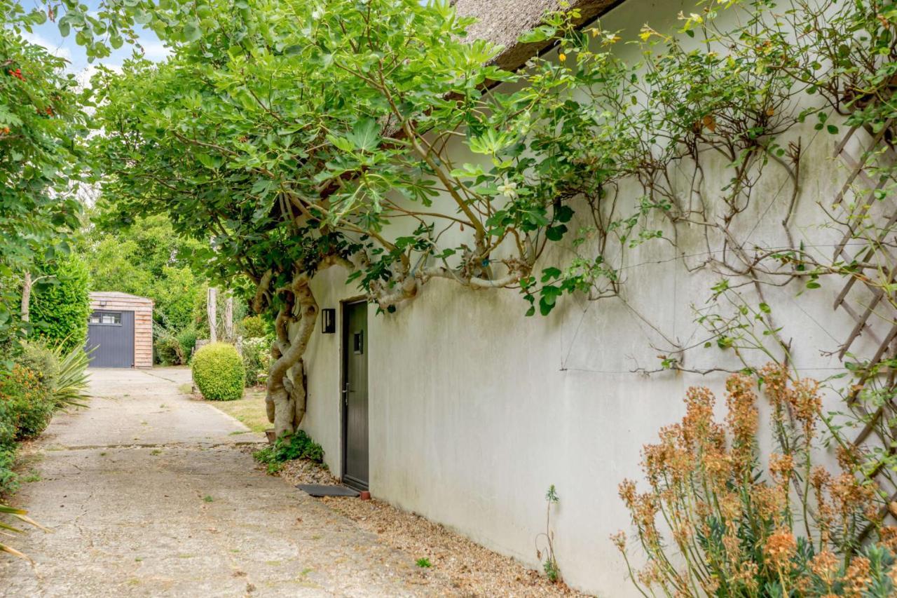 Little Thatch Lovely 2-Bed Near Weymouth Radipole Eksteriør bilde